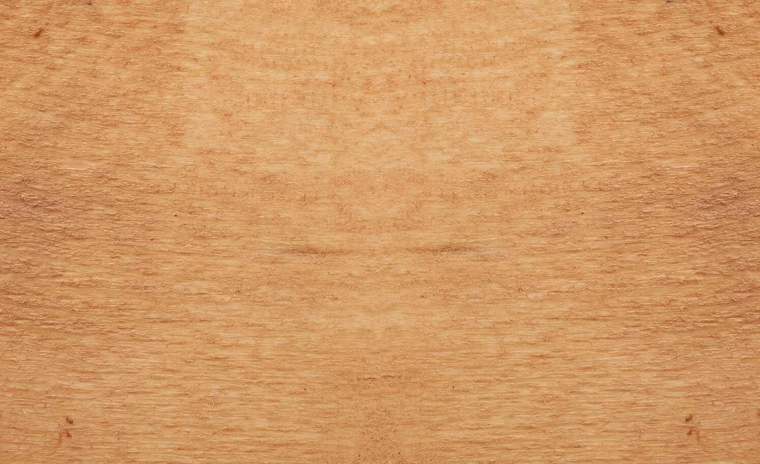 Dine + Mine Polsterstuhl Xalapa | Olivgrün Akaziefarbig Nein 8 Dine + Mine Polsterstuhl Xalapa | Olivgrün Akaziefarbig Nein – Bild 6