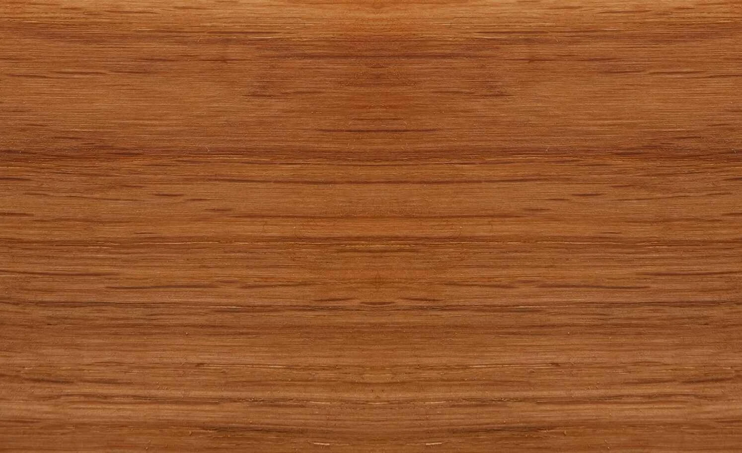 Dine + Mine Polsterstuhl Corby | Olivgrün Wildeiche Nein 5 Dine + Mine Polsterstuhl Corby | Olivgrün Wildeiche Nein – Bild 3