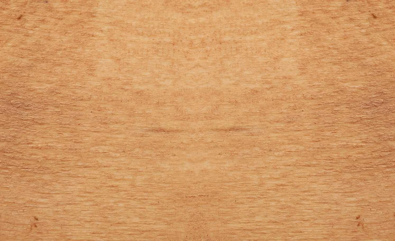 Dine + Mine Polsterstuhl Corby | Olivgrün Akaziefarbig Nein 6 Dine + Mine Polsterstuhl Corby | Olivgrün Akaziefarbig Nein – Bild 4