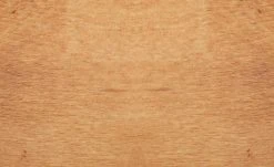 Dine + Mine Polsterstuhl Corby | Nachtblau Akaziefarbig Ja 16 Dine + Mine Polsterstuhl Corby | Nachtblau Akaziefarbig Ja -SitzWerk Verkaufsgeschäft 15307087 1 202206162233