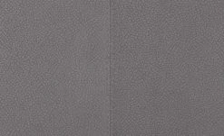 Wohnwert Polsterstuhl Botho | Kiesel (Hellgrau) Schaumstoff 14 Wohnwert Polsterstuhl Botho | Kiesel (Hellgrau) Schaumstoff -SitzWerk Verkaufsgeschäft 15307446 4 202209212234