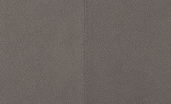 Wohnwert Polsterstuhl Botho | Taupe (Hellbraun) Schaumstoff -SitzWerk Verkaufsgeschäft 15307447 2 202209212234