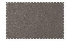 Wohnwert Polsterstuhl Botho | Taupe (Hellbraun) Schaumstoff -SitzWerk Verkaufsgeschäft 15307447 9 202209212234