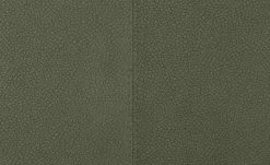 Wohnwert Polsterstuhl Botho | Moos (Grün) Schaumstoff -SitzWerk Verkaufsgeschäft 15307448 6 202209212234