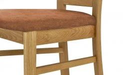 Polsterstuhl Multistar | Rost (Cognac) Nein -SitzWerk Verkaufsgeschäft 15307639 3 202207112232